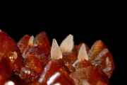 Calcite